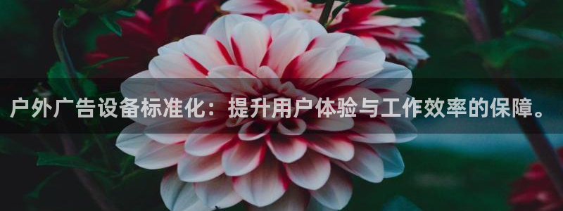 杏宇平台怎么样知乎：户外广告设备标准化：提升用户体验与工作效率的保障。