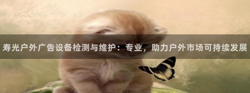 杏宇平台登录步骤图：寿光户外广告设备检测与维护：专业，助力户外市场可持续发展