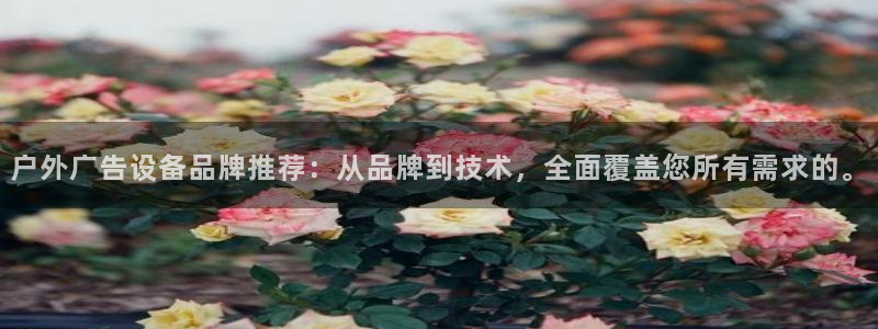 杏宇平台登录步骤是什么：户外广告设备品牌推荐：从品牌到技术，全面覆盖您所有需求的。
