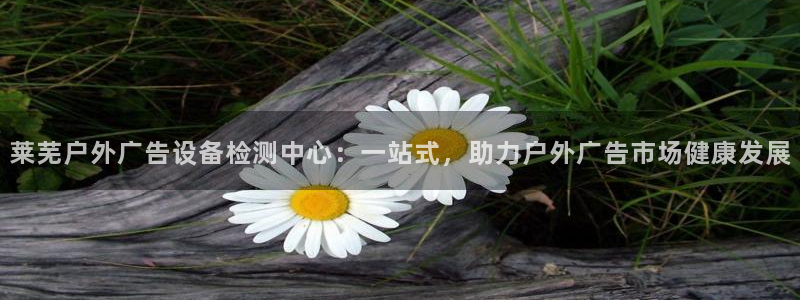 杏宇平台提现为什么这么久呢：莱芜户外广告设备检测中心：一站式，助力户外广告市场健康发展