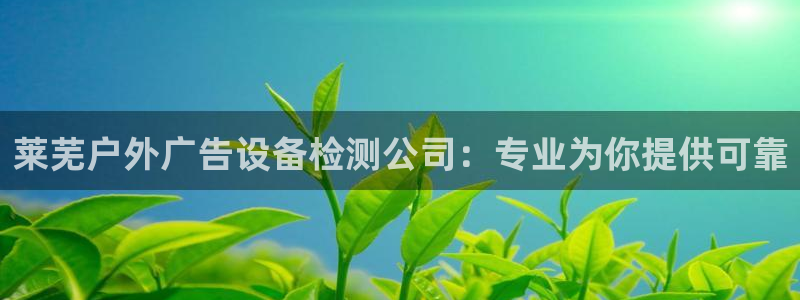 杏宇平台代理多少钱一个：莱芜户外广告设备检测公司：专业为你提供可靠