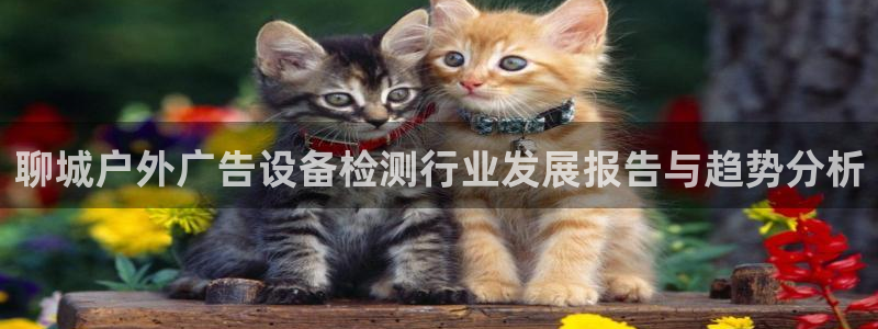 杏宇平台招商：聊城户外广告设备检测行业发