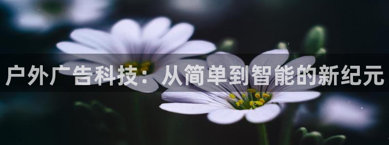 杏宇官方平台官网：户外广告科技：从简单到