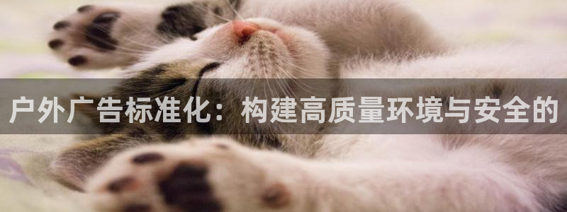 杏宇平台登录方法：户外广告标准化：构建高质量环境与安全的
