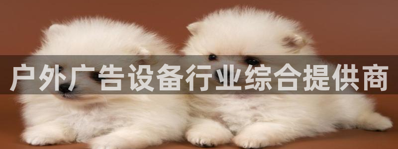 杏宇平台总代理是谁：户外广告设备行业综合提供商