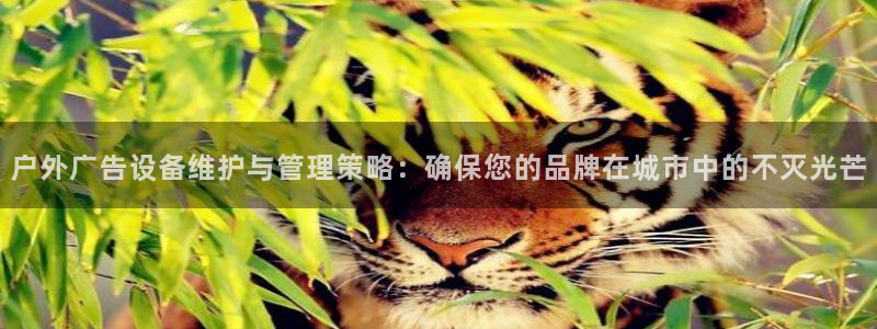 杏宇平台登录步骤：户外广告设备维护与管理