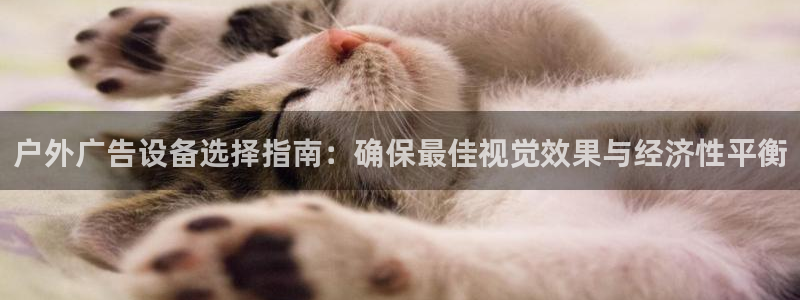 杏宇平台登录步骤图：户外广告设备选择指南