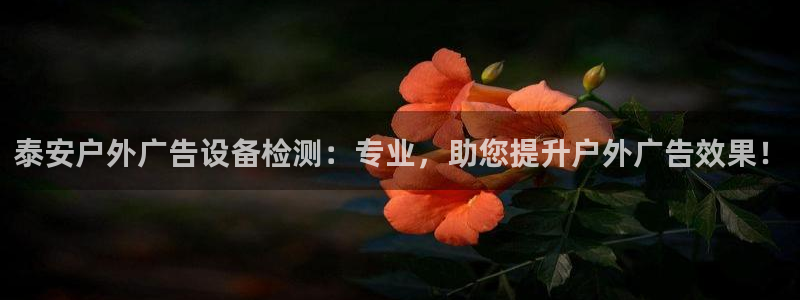 杏宇平台总代理是谁：泰安户外广告设备检测