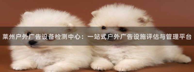 杏宇平台代理多少钱一个月：莱州户外广告设