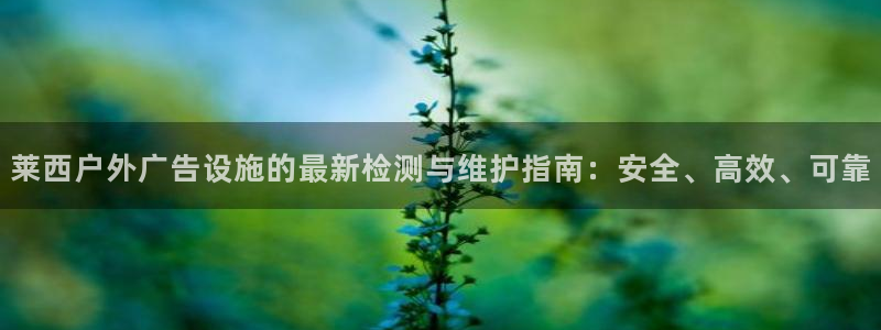 杏宇平台代理多少钱一次：莱西户外广告设施的最新检测与维护指南：安全、高效、可靠