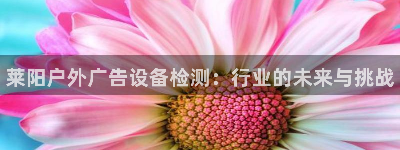 杏宇平台代理多少钱：莱阳户外广告设备检测：行业的未来与挑战