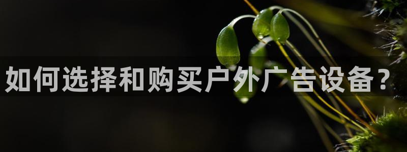 杏宇平台代理怎么样：如何选择和购买户外广告设备？