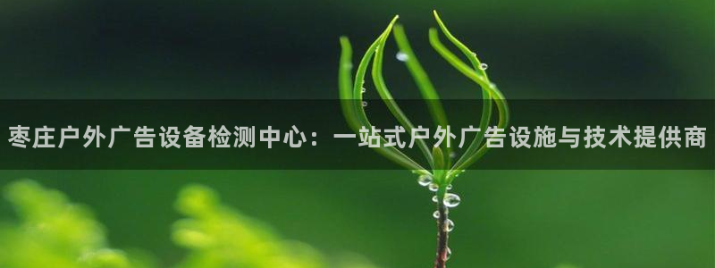 杏宇平台代理多少钱：枣庄户外广告设备检测中心：一站式户外广告设施与技术提供商