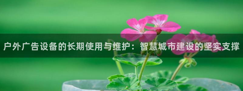 杏宇平台怎么样知乎：户外广告设备的长期使用与维护：智慧城市建设的坚实支撑