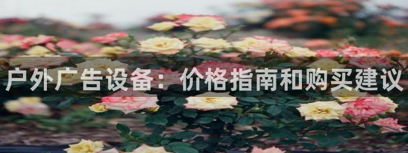 杏宇平台怎么样赚钱：户外广告设备：价格指南和购买建议
