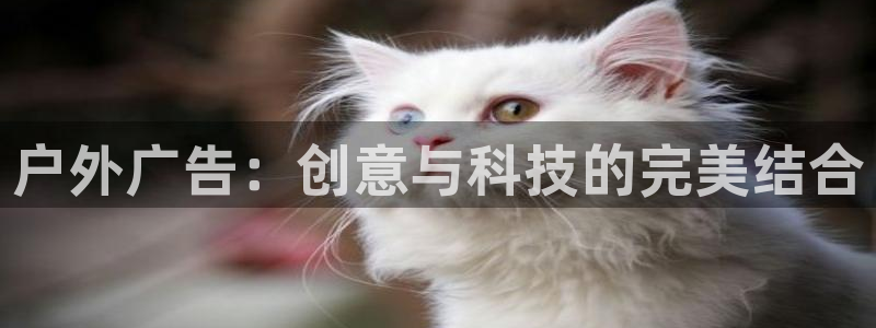 杏宇平台登陆：户外广告：创意与科技的完美结合