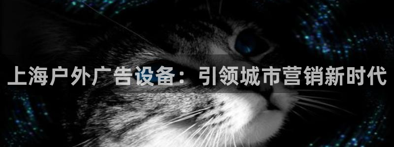 杏宇平台代理怎么样赚钱：上海户外广告设备：引领城市营销新时代