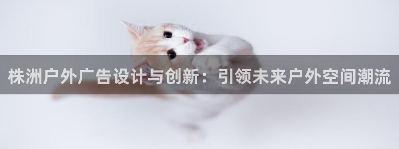 杏宇平台招商：株洲户外广告设计与创新：引领未来户外空间潮流