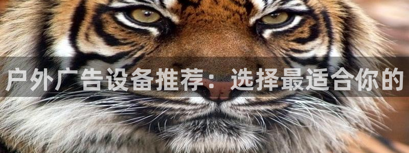 杏宇官方平台官网下载：户外广告设备推荐：选择最适合你的