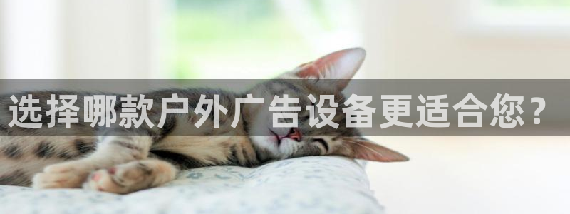杏宇平台招商：选择哪款户外广告设备更适合您？