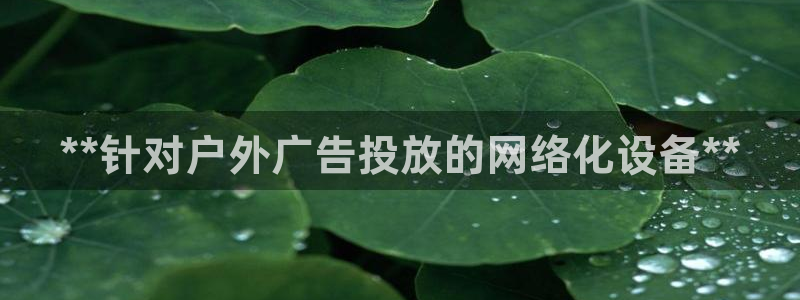 杏宇官方平台官网下载：**针对户外广告投放的网络化设备**