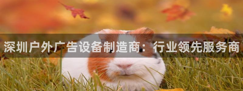 杏宇平台怎么样赚钱：深圳户外广告设备制造商：行业领先服务商