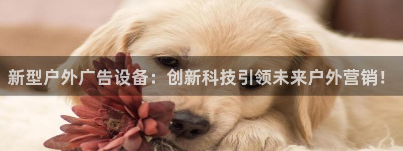 杏宇平台代理多少钱：新型户外广告设备：创