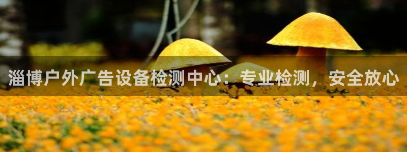 杏宇官方平台官网下载：淄博户外广告设备检