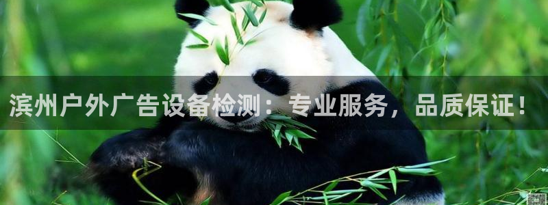 杏宇平台代理怎么赚钱：滨州户外广告设备检