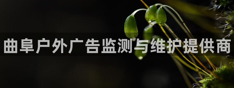 杏宇官方平台官网入口：曲阜户外广告监测与
