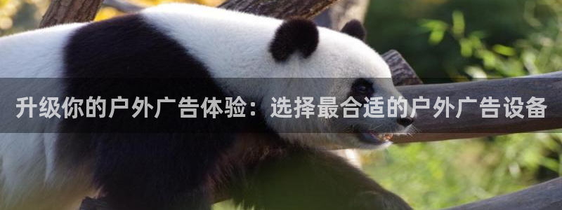 杏宇平台代理：升级你的户外广告体验：选择