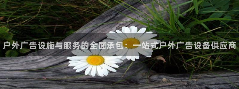 杏宇平台是什么：户外广告设施与服务的全面承包：一站式户外广告设备供应商